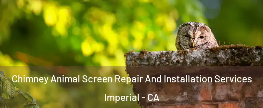  Chimney Animal Screen Repair And Installation Services Imperial - CA