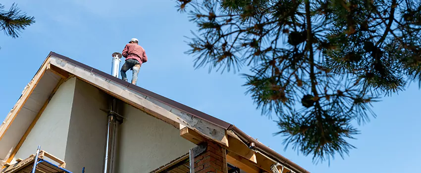 Birds Removal Contractors from Chimney in Imperial, CA