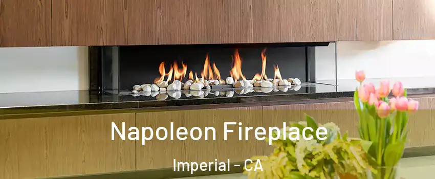 Napoleon Fireplace Imperial - CA